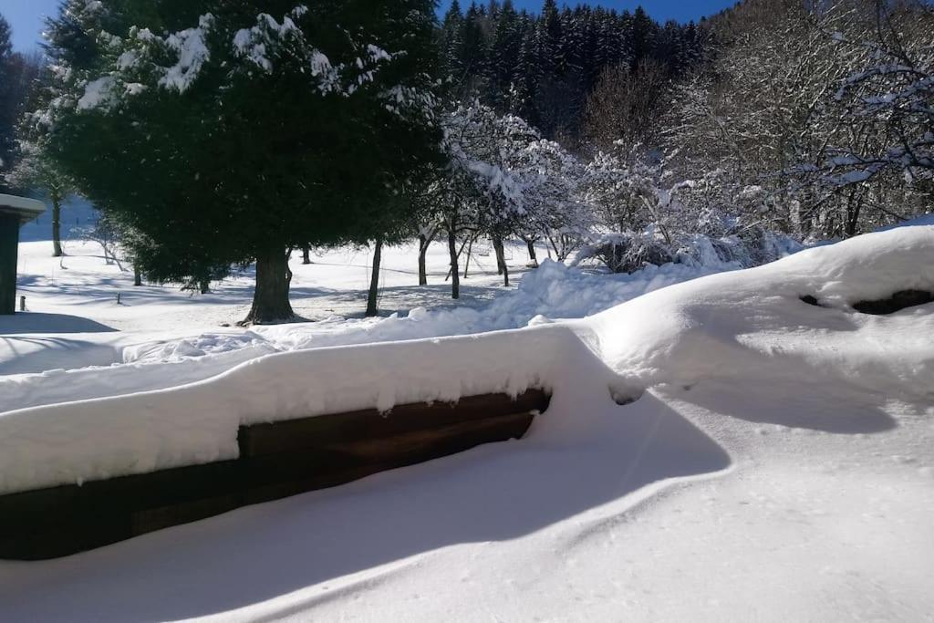 La Grange De Pimberty - Beautiful Apartments 27 Miles From Geneva Vailly エクステリア 写真